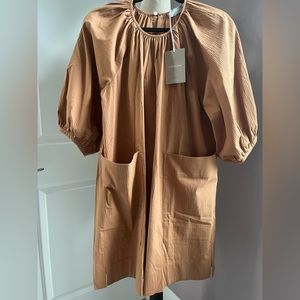 Everlane Medium Puff Long Sleeve Midi Dress